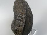 an image of a piece of rock on a stand