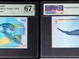 Deux types de monnaie différents sont exposés dans une vitrine.