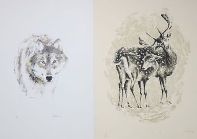 deux dessins représentant un cerf et un cerf avec des bois