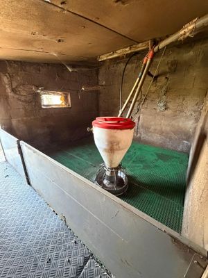 a toilet in the middle of a room with a green floor