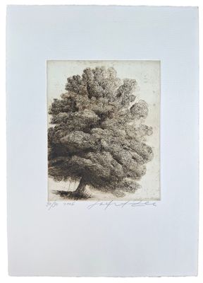 une image représentant un dessin d'arbre dans un cadre blanc