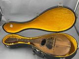 une guitare dans son étui, posée sur une surface blanche