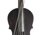 a violin that is on display on a white background