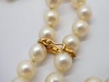 collier de perles avec un fermoir en or sur fond blanc