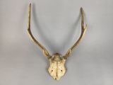 une image représentant une tête de cerf en or accrochée au mur