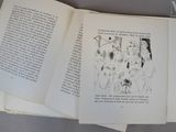 Photo 3/5 du lot