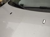 a close up of a car ' s hood with a sticker on it