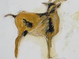 drawing of a goat with a long horn standing on a white surface