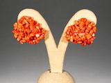 pair of orange coral earrings in the shape of two trees