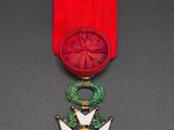 a close up of a medal with a red ribbon around it