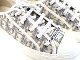a close up of a pair of shoes with a plant in the background