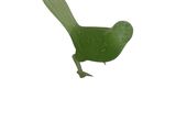 un oiseau vert qui vole dans le ciel