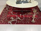 une table sur laquelle se trouvent de nombreux os d'animaux
