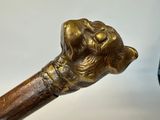 a close up picture of a walking stick with a hand on it