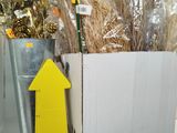 a yellow arrow sign on a shelf next to a bucket of plants