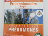phéromones phéromones phéromones phéromones phéromones phéromones phéromones phéromones