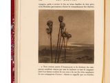 un livre ouvert sur lequel figure une image de fleurs
