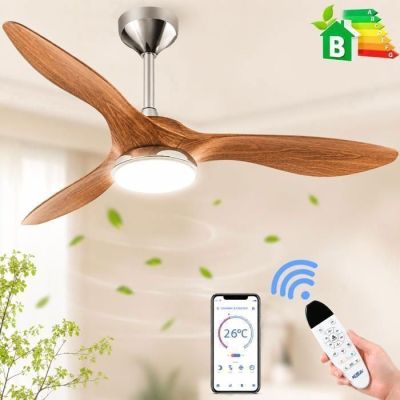 an image of a person holding a remote control in front of a ceiling fan