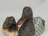 deux canards assis l'un à côté de l'autre sur une surface blanche