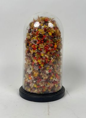 un dôme en verre contenant tout un tas de bonbons