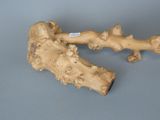 a piece of wood that has been carved to look like a tree branch