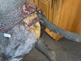 a statue of a horse with a saddle on it ' s back