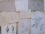 a lot of drawings on the wall of a room