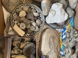 a box full of rocks and other items in it