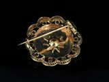 a gold broochle with a bird and a star on it