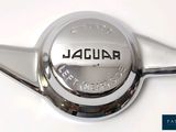 a close up of a jaguar emblem on a white surface