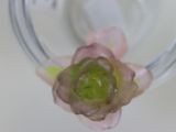 a glass vase with a flower in it on a table
