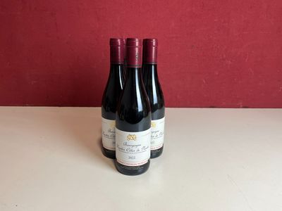 deux bouteilles de vin posées sur une table, avec un mur rouge en arrière-plan