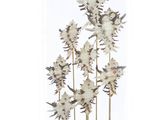 un dôme en verre contenant un bouquet de fleurs