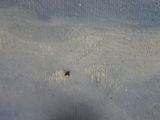 a person standing in the snow with a ski in their hand