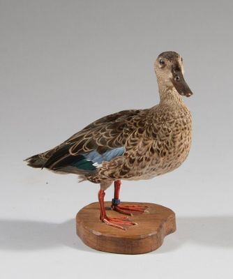 un petit canard posé sur un socle en bois