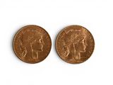 two pieces of gold coin on a white surface