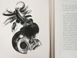 a black and white drawing of a dragon on a page of a book