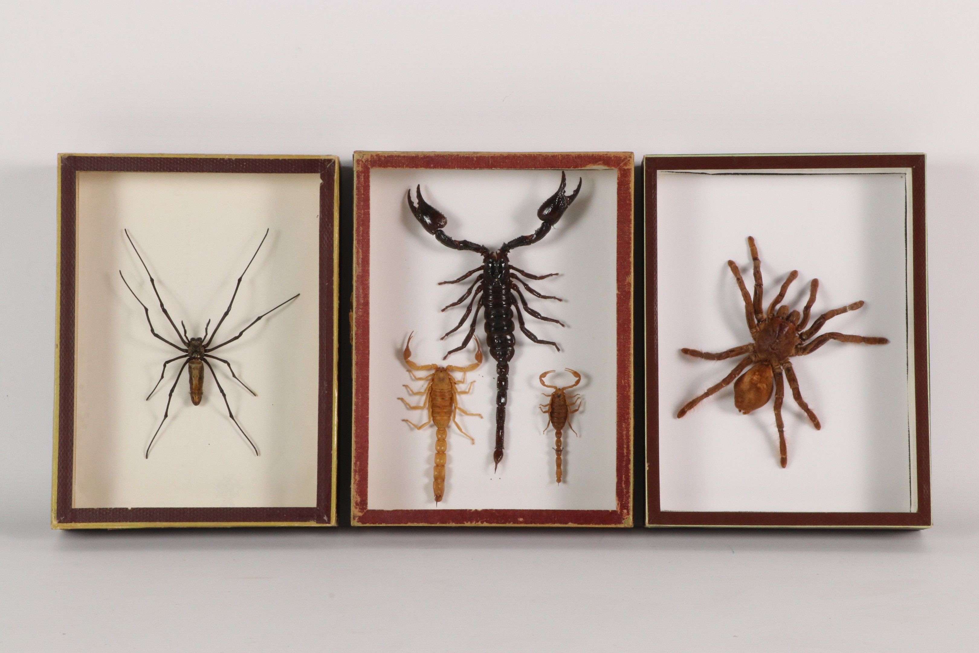 Objets d'art & Curiosités