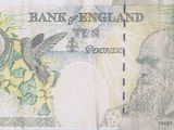 an old bank note with a picture of a man and a bird on it