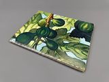 a picture of a coaster with a picture of figs on it