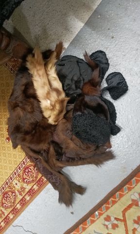 Lot de fourrure diverses. En l'état