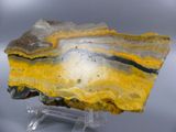 a close up of a piece of yellow and black marble on a clear stand