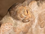 a stone statue of a woman with a bird on her head