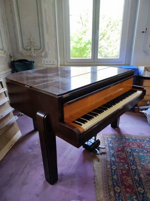 un piano à queue dans une pièce où il y a un tapis au sol