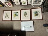 many framed pictures of fruit on the floor