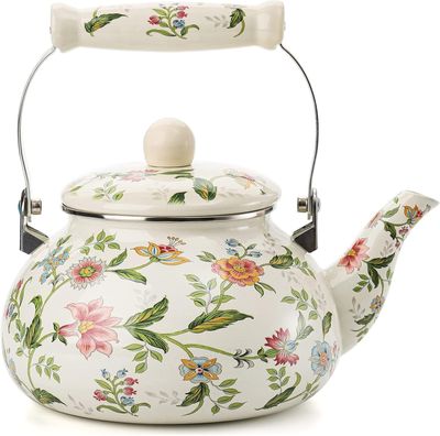 2.74 Bouilloire Émaillée pour Induction 2.