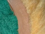 a close up of a stuffed animal wearing a green and red hat