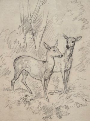 an old drawing of two deer standing next to each other in the woods