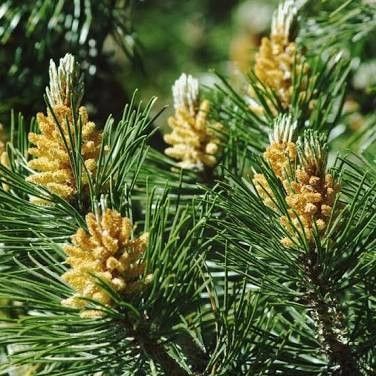 Destockage & Invendus