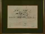 un dessin représentant des oiseaux volant au-dessus d'un plan d'eau
